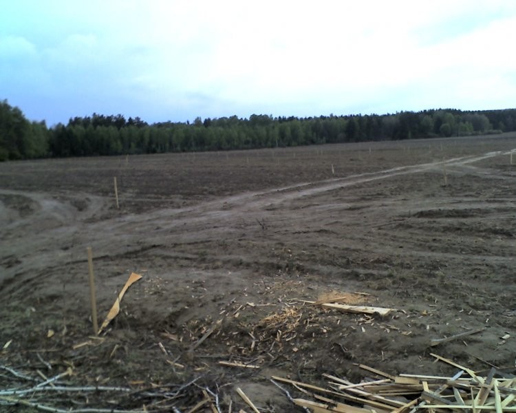 Działki; 56 ha, 55 ha, 24 ha, 20, 30, 39 ha - SPRZEDAM — zdjęcie 1