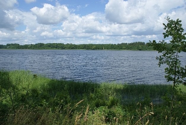 (513) Działka z linią brzegową jeziora Gaładuś — zdjęcie 3