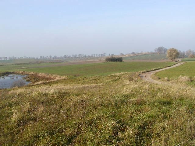 Mazury -10ha ze stawem przy lesie — zdjęcie 3