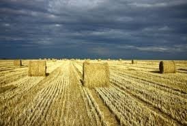 SPRZEDAM SŁOMĘ 2012!!!!