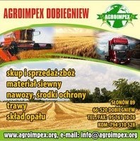 Firma AGROIMPEX kupi każdą ilość gryki