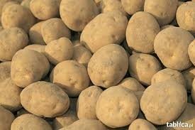 OFERUJĘ ziemniaki jadalne WINETA 25gr/kg