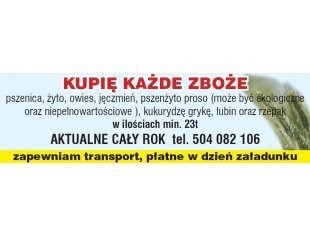 kupię pszenżyto ekologiczne