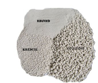 Wapniak Rudkowski