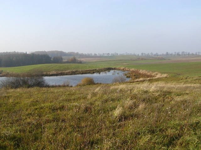 Mazury -10ha ze stawem przy lesie — zdjęcie 1