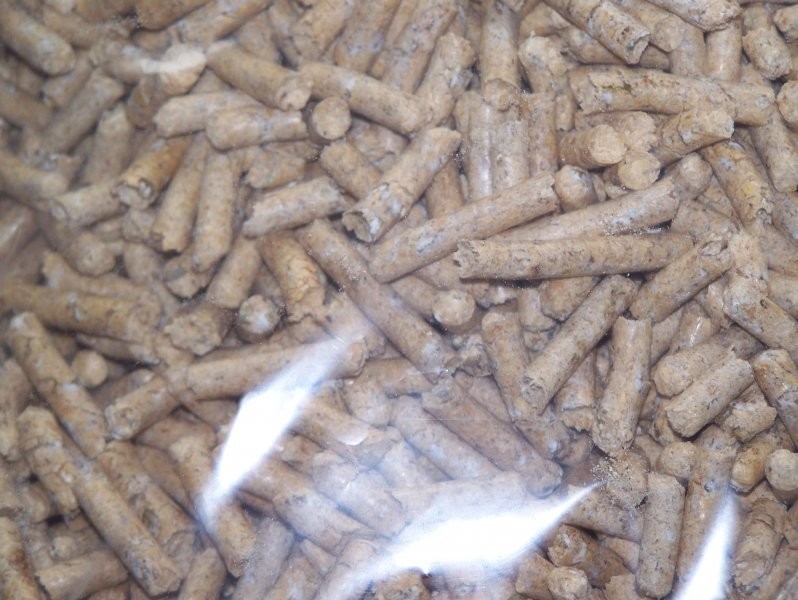 PELLET IŁAWA OSTRÓDA OLSZTYN — zdjęcie 3