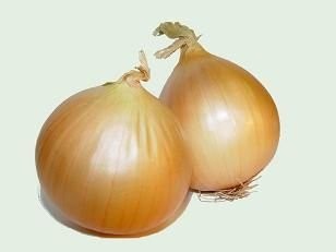 CEBULA