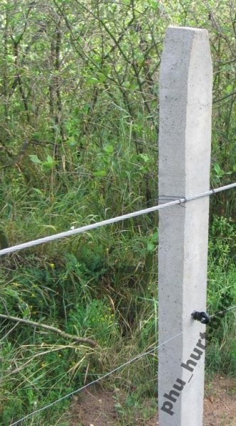 SŁUPY BETONOWE DO OGRODZENIA PASTWISKA — zdjęcie 2