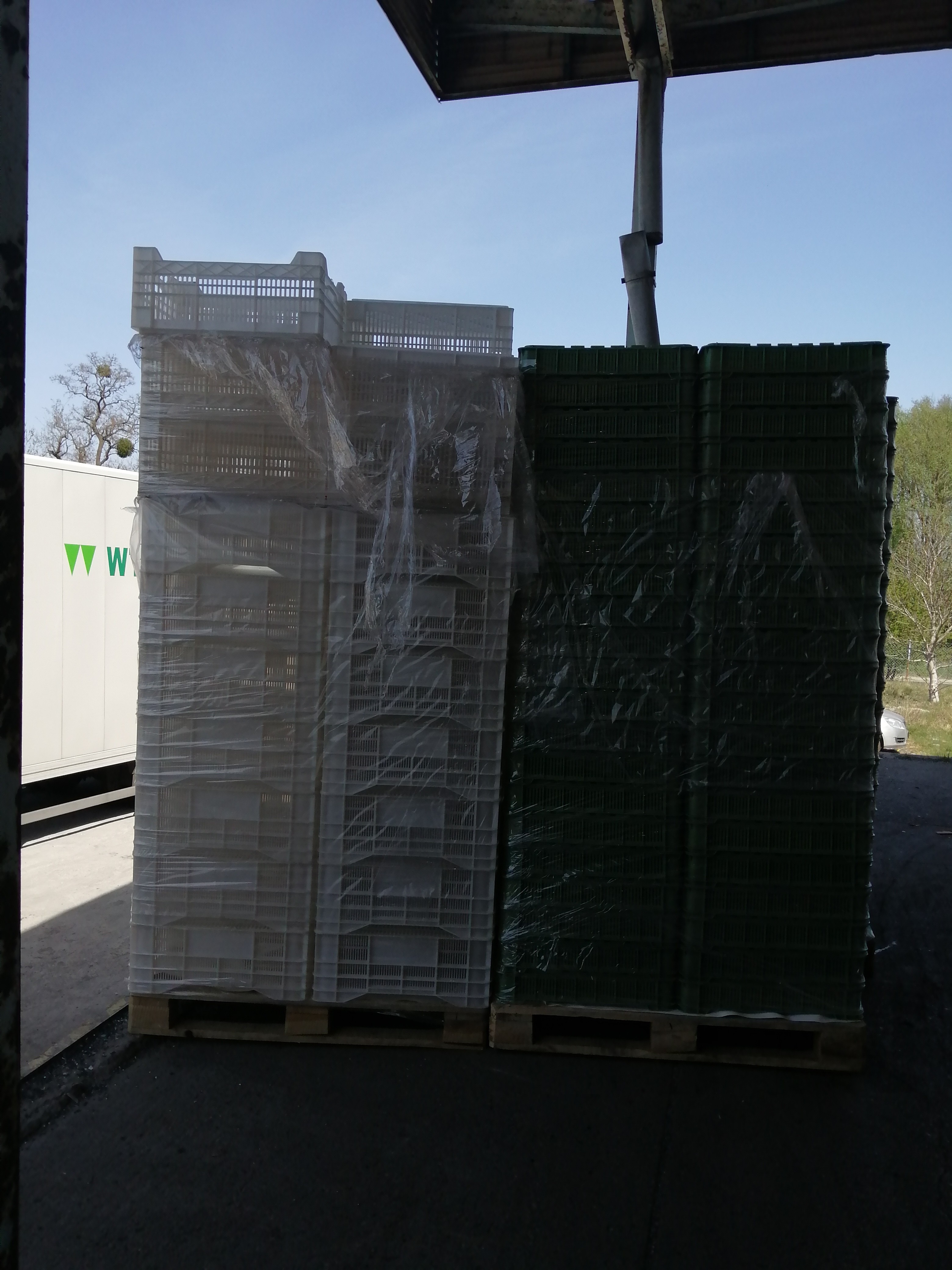 skrzynki plastikowe na owoce warzywa jak nowe — zdjęcie 2