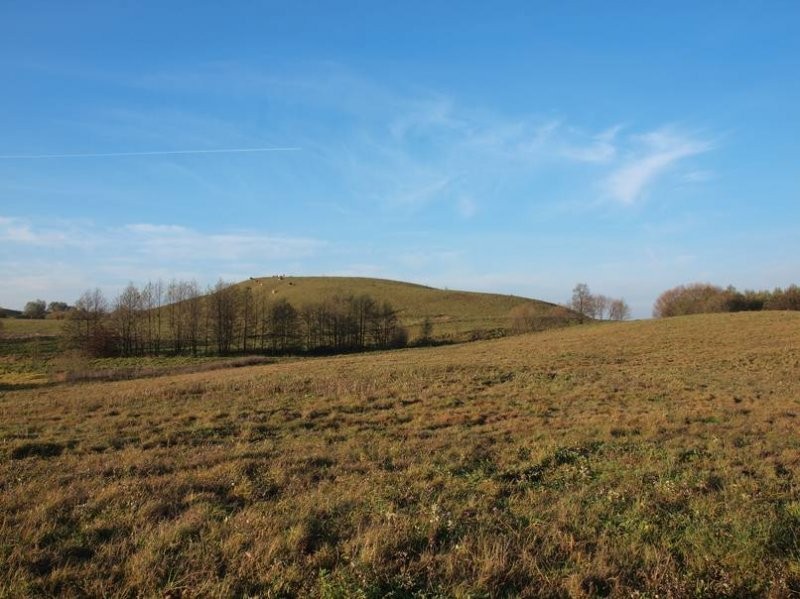 Ziemia na Mazurach, 7,35 ha III i IV klasy — zdjęcie 3