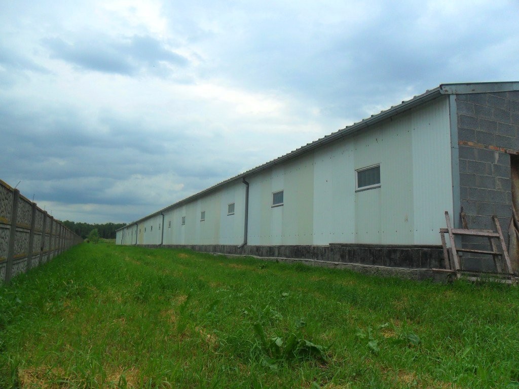 Sprzedam używana konstrukcje stalową 1500 m2. !!! — zdjęcie 1
