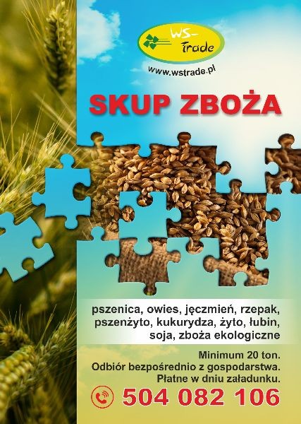 Kupię łubin - skup łubinu