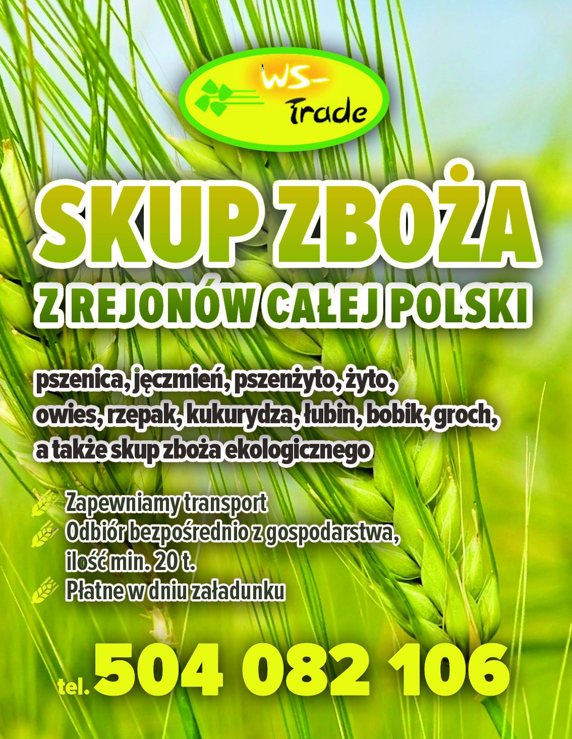 kupię pszenżyto- skup pszenżyta