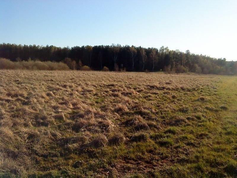 Sprzedam łąkę (0, 85 ha) — zdjęcie 1