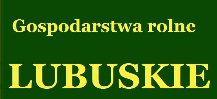 Gospodarstwa rolne od 5-600 HA sprzedamy — zdjęcie 2