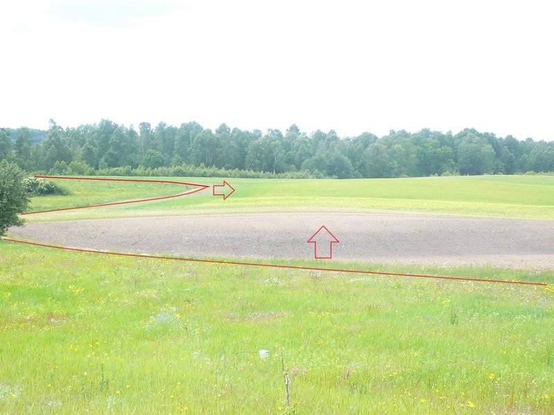 Sprzedam grunty rolne 47,56 ha w jednym kawałku — zdjęcie 3