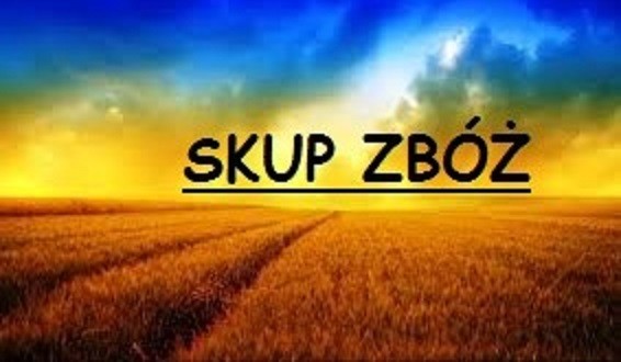 SKUP ZBOŻA**
