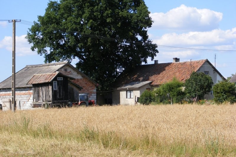 Gospodarstwo na Warmii — zdjęcie 1