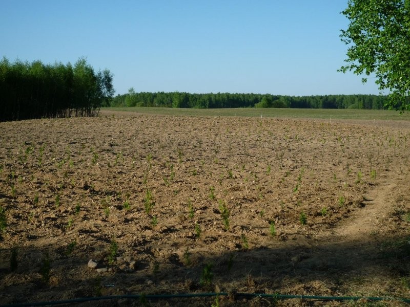 Działka 3,5 ha