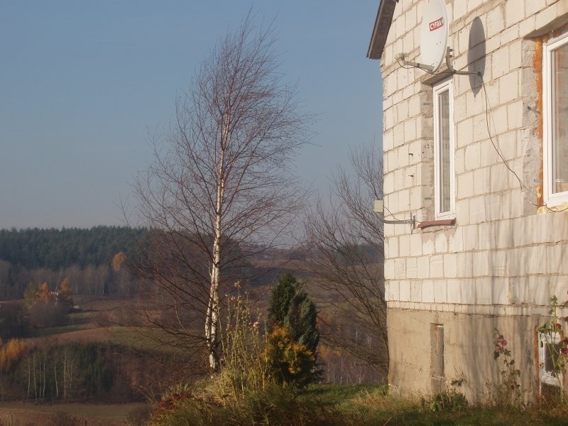 gospodarstwo koło suwałk — zdjęcie 1