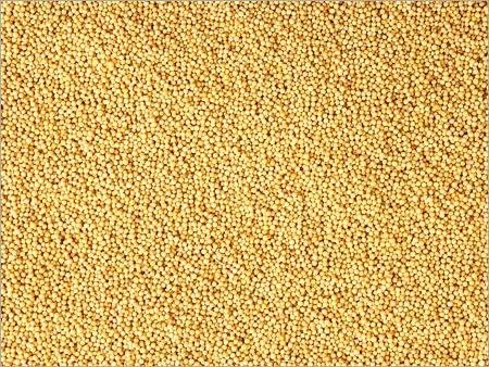 Gorczyca Biala (Sinapis alba) 1000 ton