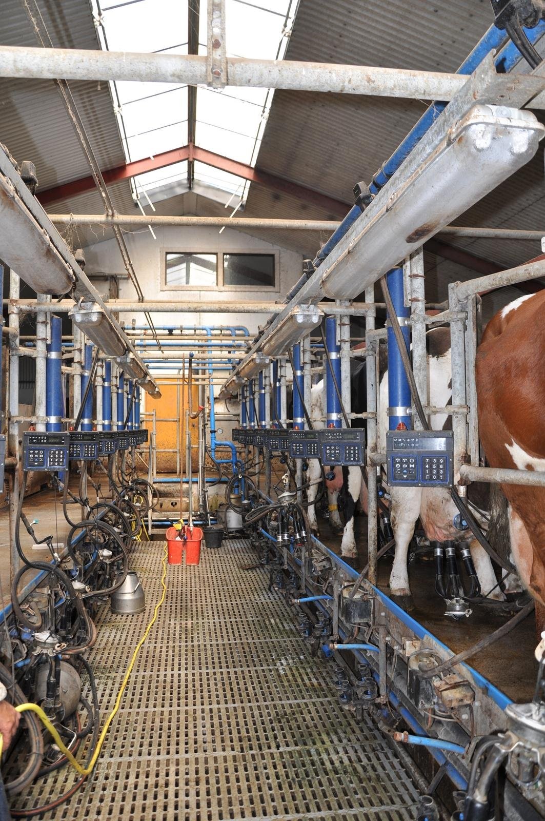 sprzedaz uzywanych urzadzen mlecznych — zdjęcie 2