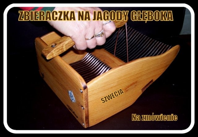 zbieraczka - maszynka -kombajn do jagód i borówek — zdjęcie 5