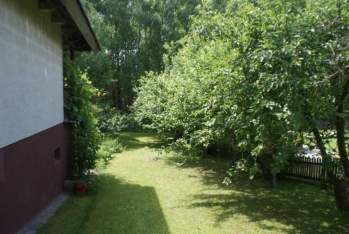 (512) Działka z domkiem, jezioro Wigry — zdjęcie 5