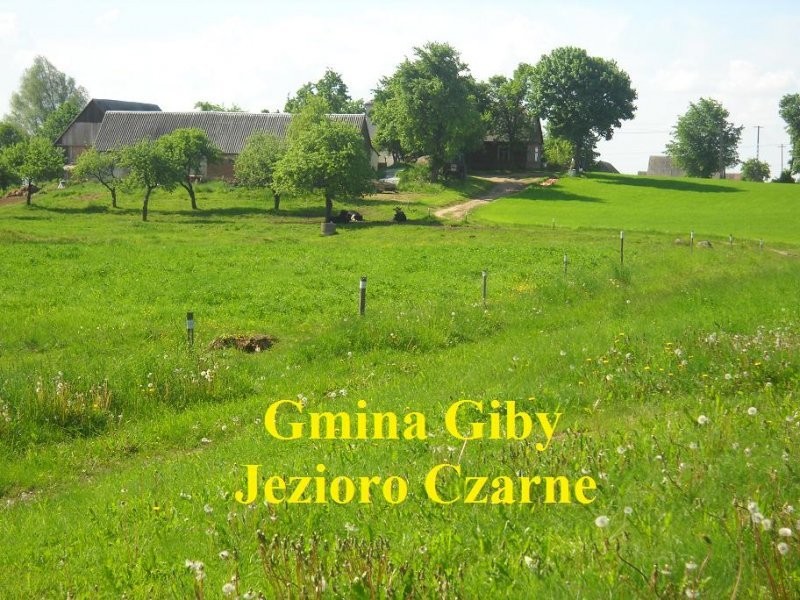 (41) Działka pod rekreację na Poj. Sejneńskim — zdjęcie 4