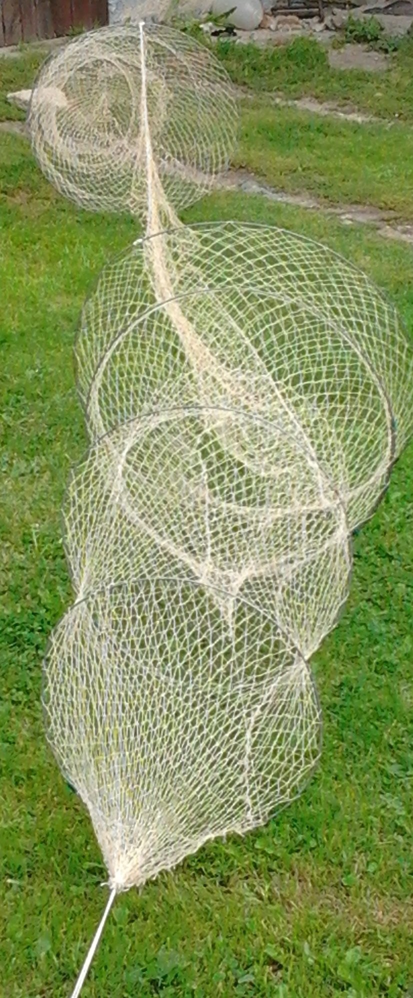 sprzedam żaki