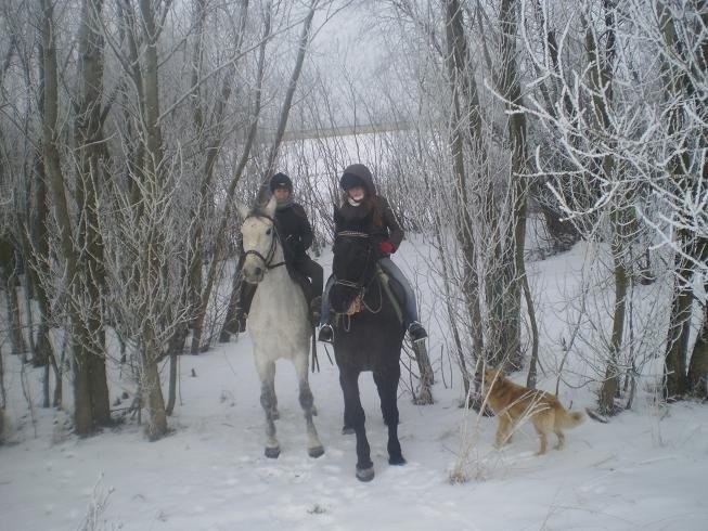 obóz jeździecki ferie 2012 — zdjęcie 5