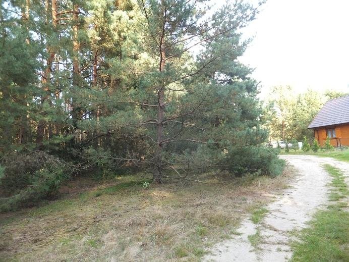 Dzialka w Gościmiu . Niedaleko LAS oraz Jezioro — zdjęcie 1