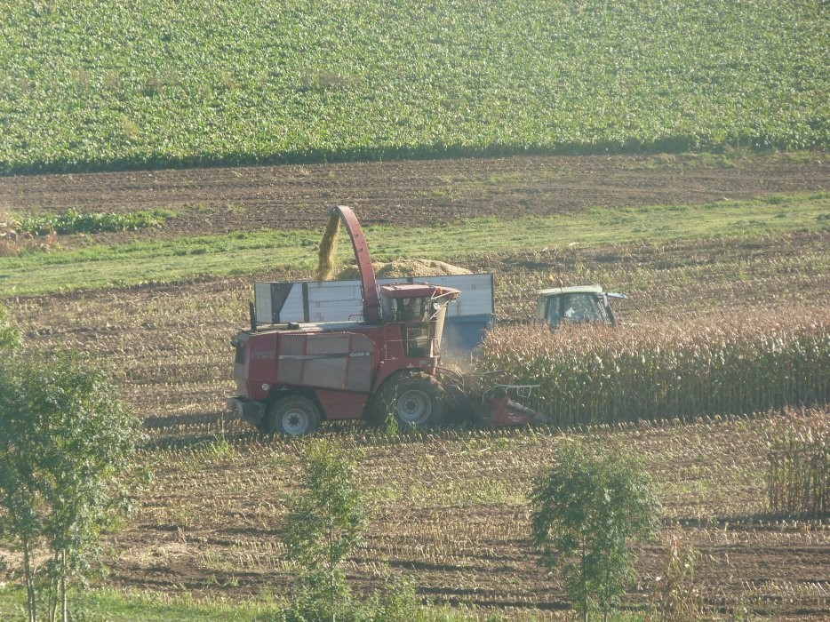 Case IH mammuth 8790 - 2000 — zdjęcie 2