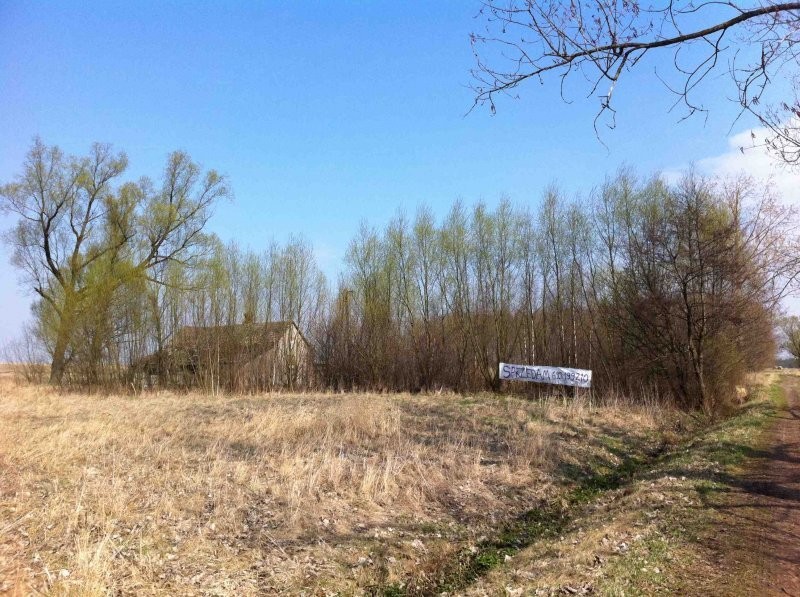 Sprzedam siedlisko 2,09 h w powiecie łaskim — zdjęcie 2