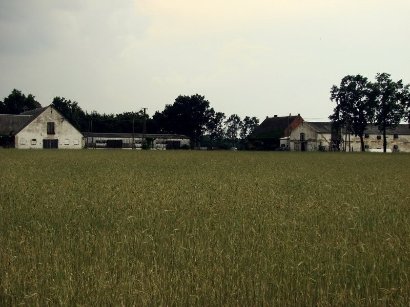 ferma drobiu  tanio — zdjęcie 1