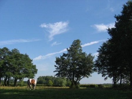 Gospodarstwo rolne, stajnie — zdjęcie 2