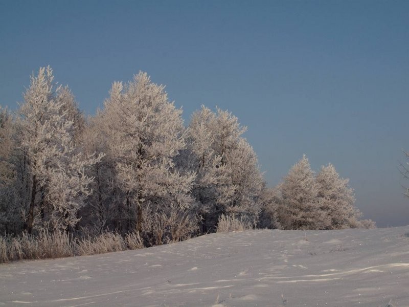 Mazury -duża działka budowlana na odludziu! 4500m2 — zdjęcie 4