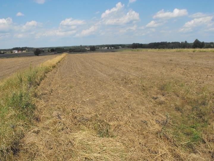 Grunt Orny 150 ha Radwanów