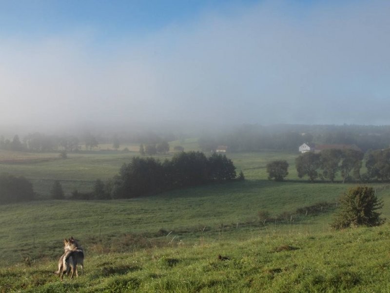 Ziemia na Mazurach, 7,35 ha III i IV klasy — zdjęcie 5