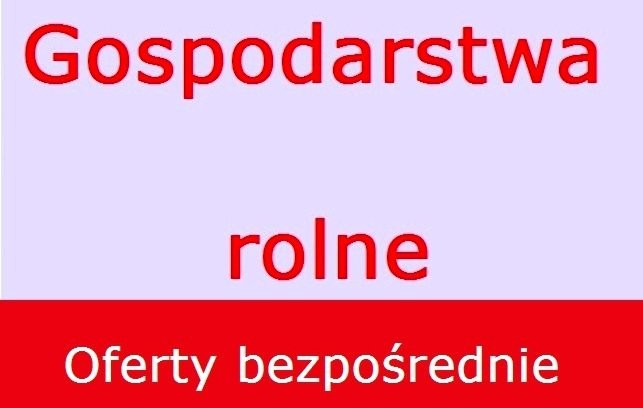 Gospodarstwa rolne od 5-600 HA sprzedamy — zdjęcie 1
