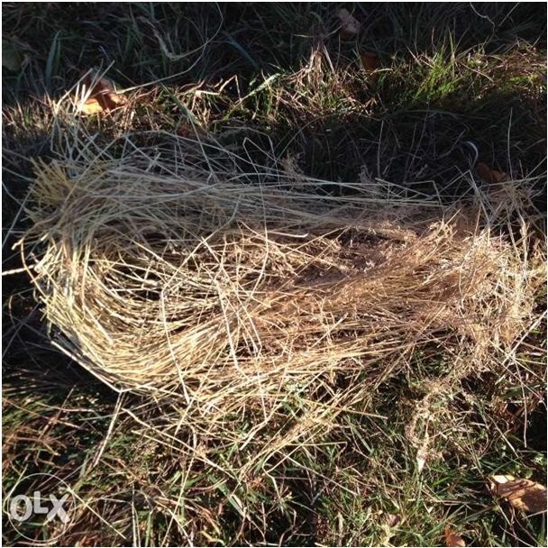 Siano kostka80X80X120 — zdjęcie 1
