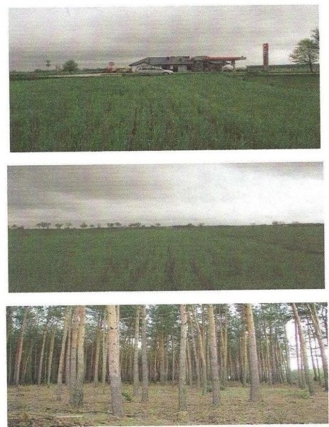 Działka-Łaś gm. Rzewie — zdjęcie 1