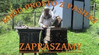 Miód prosto z pasieki w Juszczynie. — zdjęcie 3