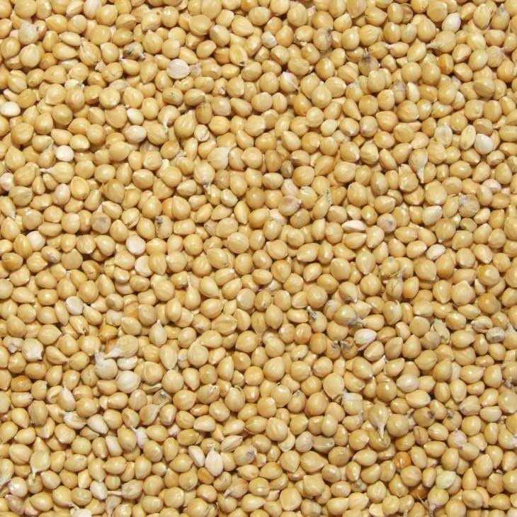 sell millet