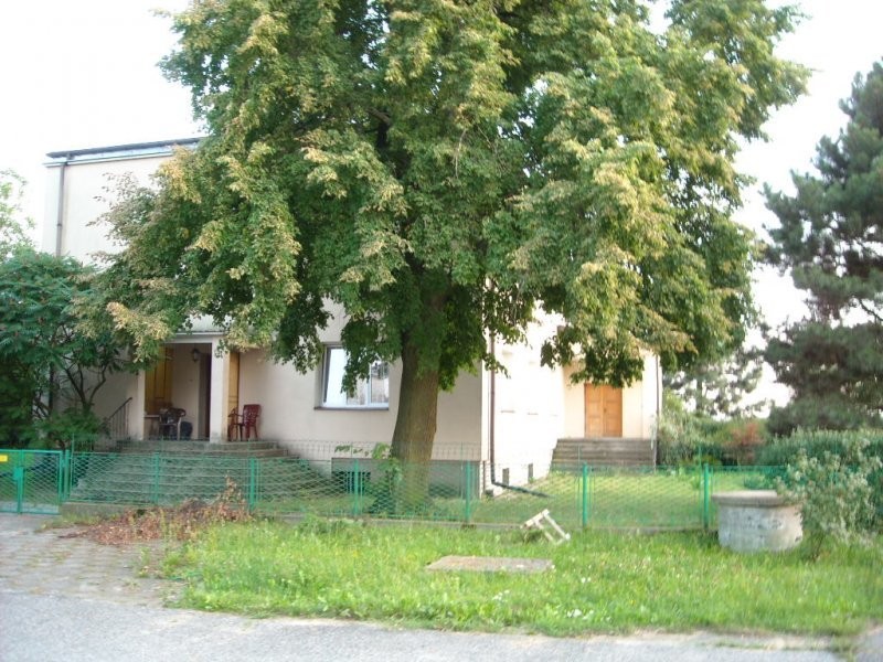Gospodarstwo sadownicze — zdjęcie 4