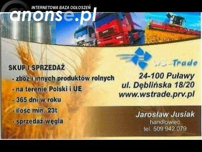 Skup zboża, płacimy w dniu załadunku — zdjęcie 2