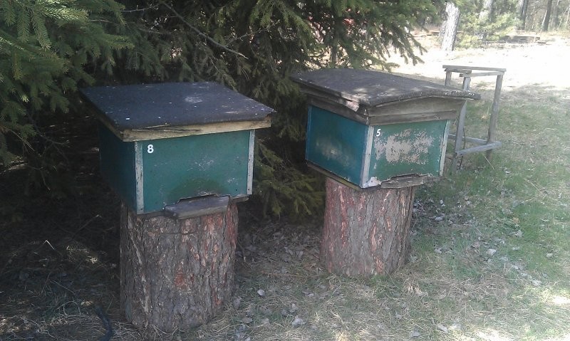 Ule...pszczoły...kupie,odbiore