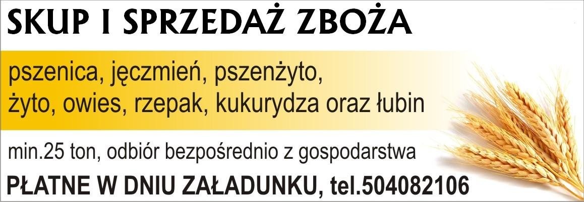 kupię jęczmień ozimy zbiory 2013