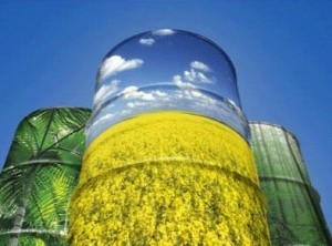 Ukraina.Olej rzepakowy 2,3 zl/litr + nasiona, sloma, biomasa, tluszcze