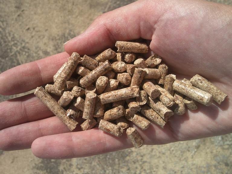 Pellet drzewny jasny DIN+ Lublin